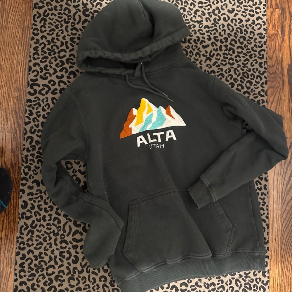 Alta Utah Hooded Sweatshirt - Dark Green